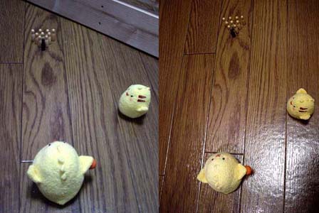 piyo50.jpg(32700 byte)