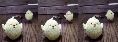 piyo51.jpg(23656 byte)