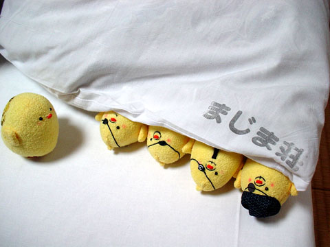 �܌���墂Ə����Ă��邳���A�Ɠǂ݂܂��B