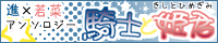 ��ɱ�ȵ��Ρ٤���͡��ޥ��͡ʿʼ㥢�󥽥���